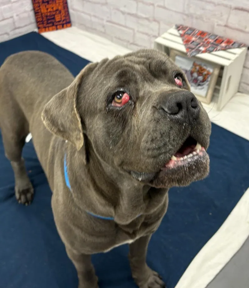 Base Culture thumbnail 5