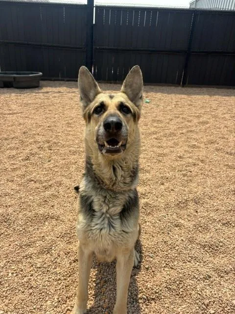 Rocko