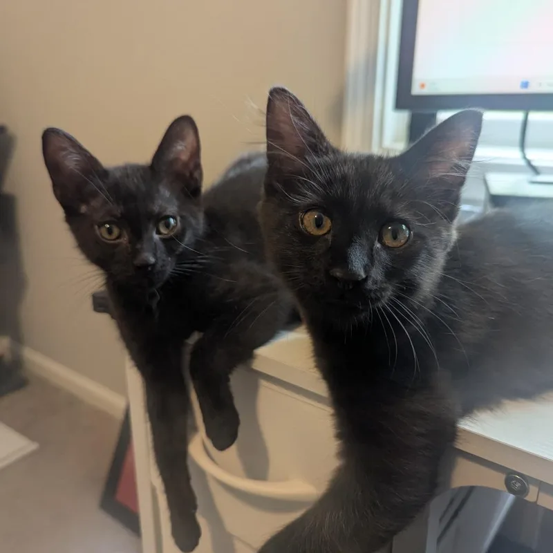 Dean Winchester thumbnail 3