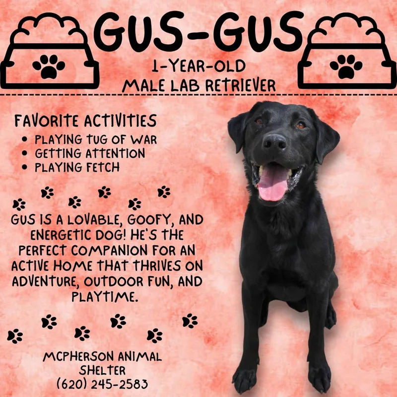 Gus