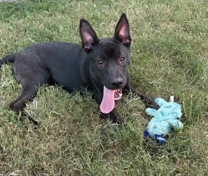 Tina Zena thumbnail 2