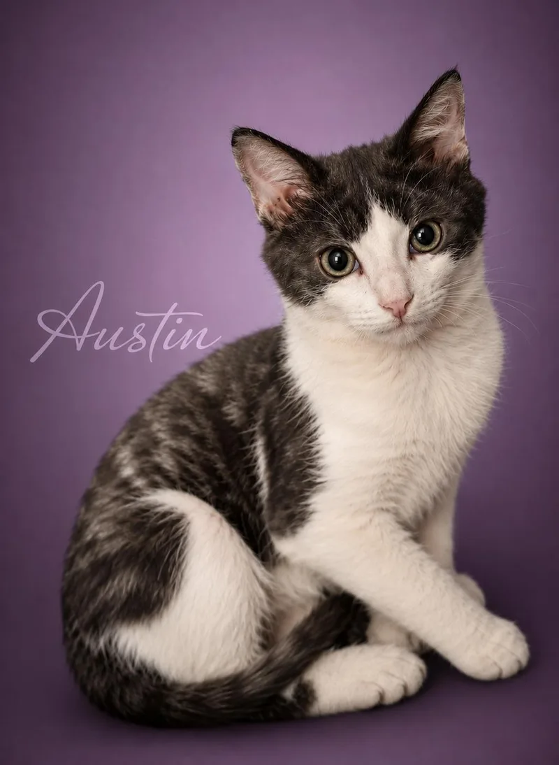 Austin  Son of thumbnail 3