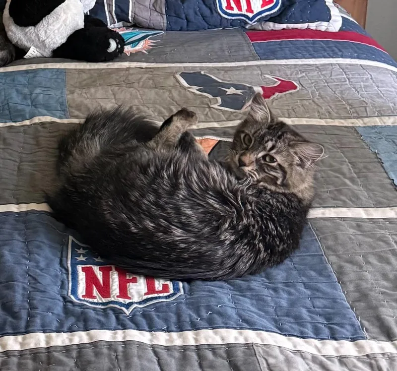 Pepper thumbnail 5
