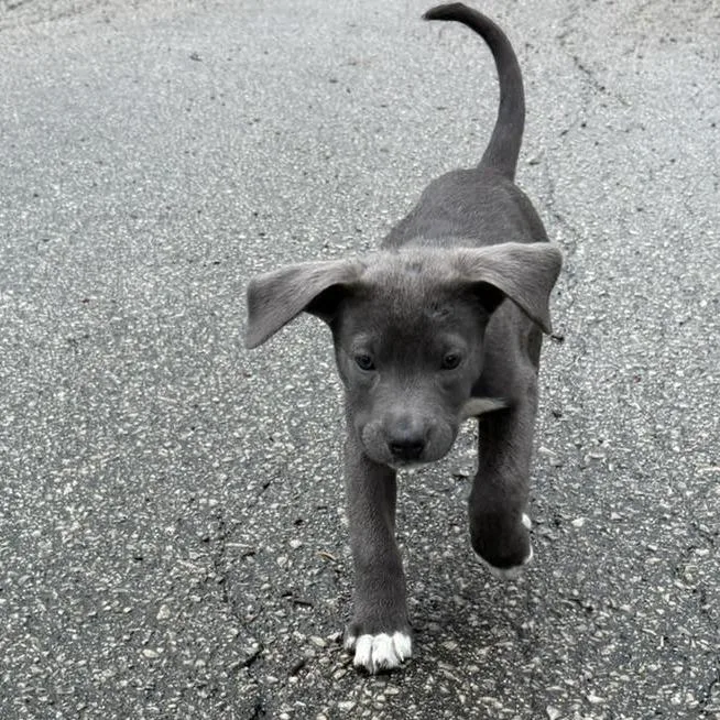 Felicity thumbnail 3