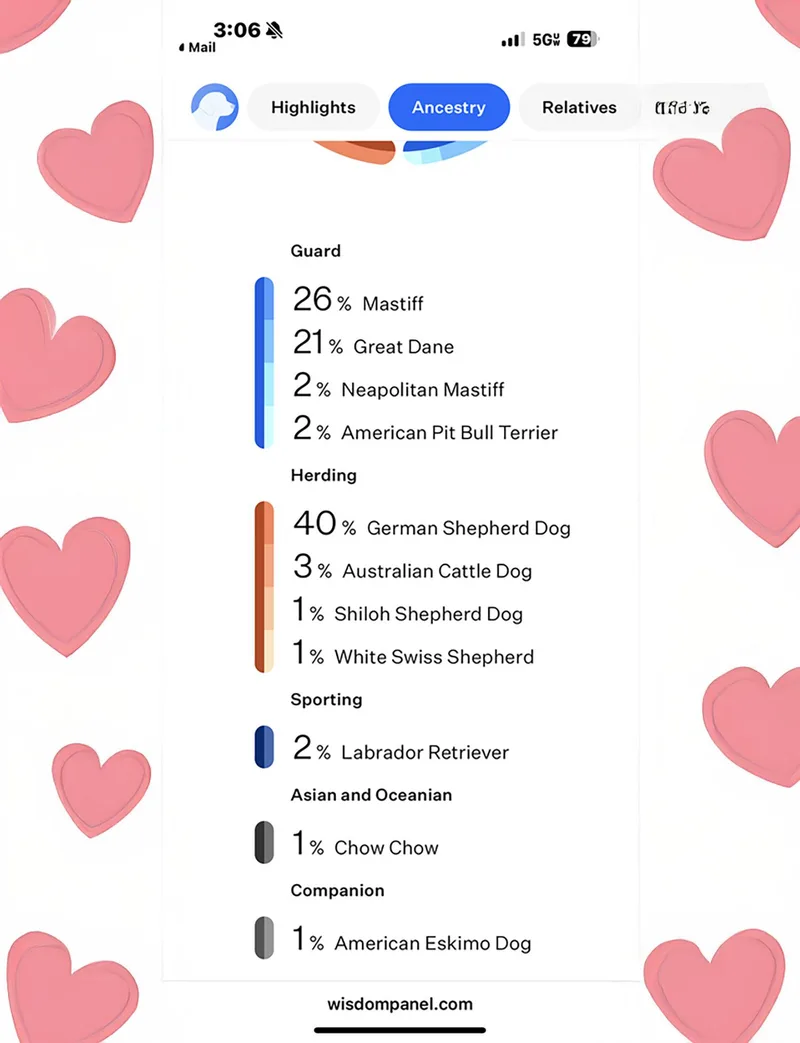 Rosabella thumbnail 5