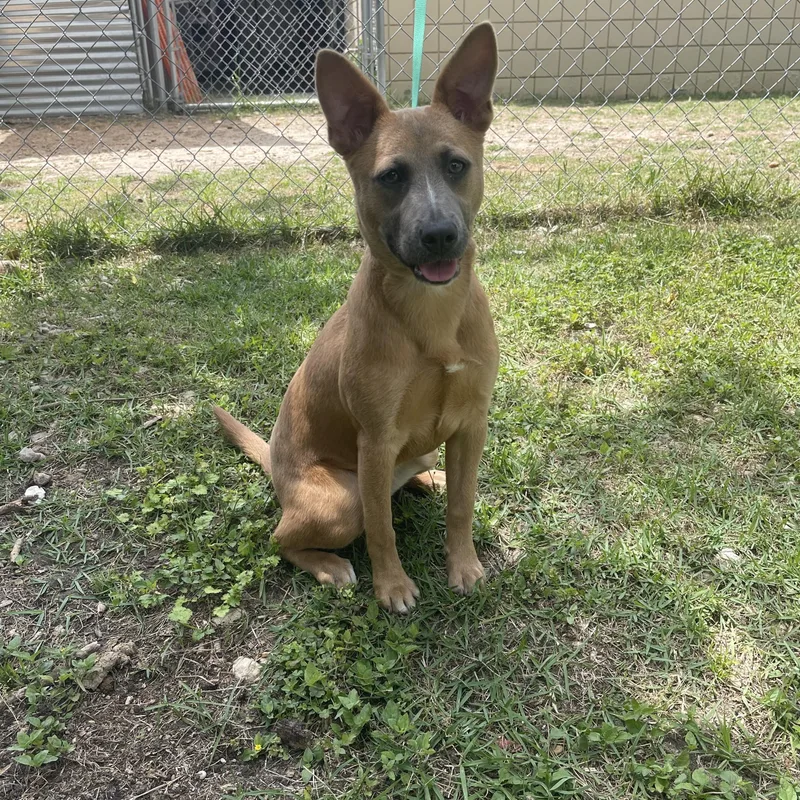Chiquita