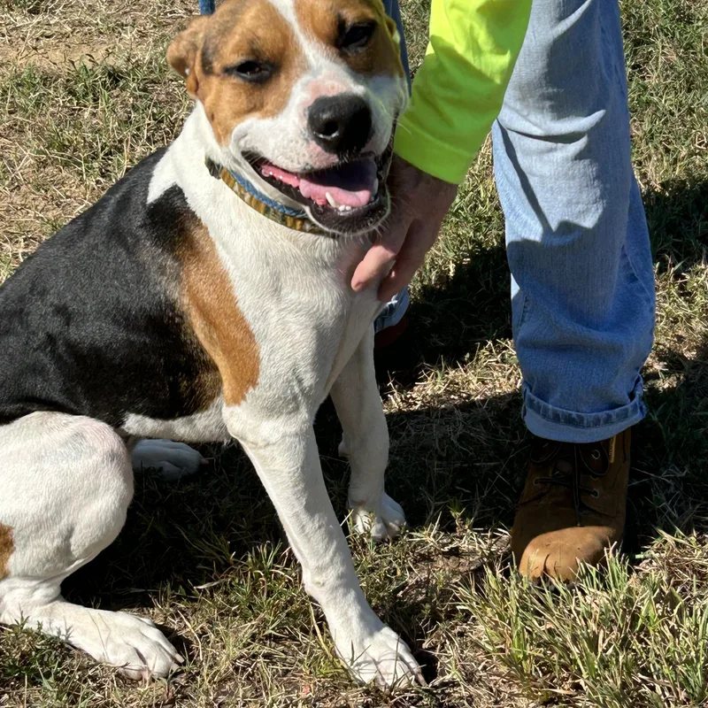 S’ Mores thumbnail 3