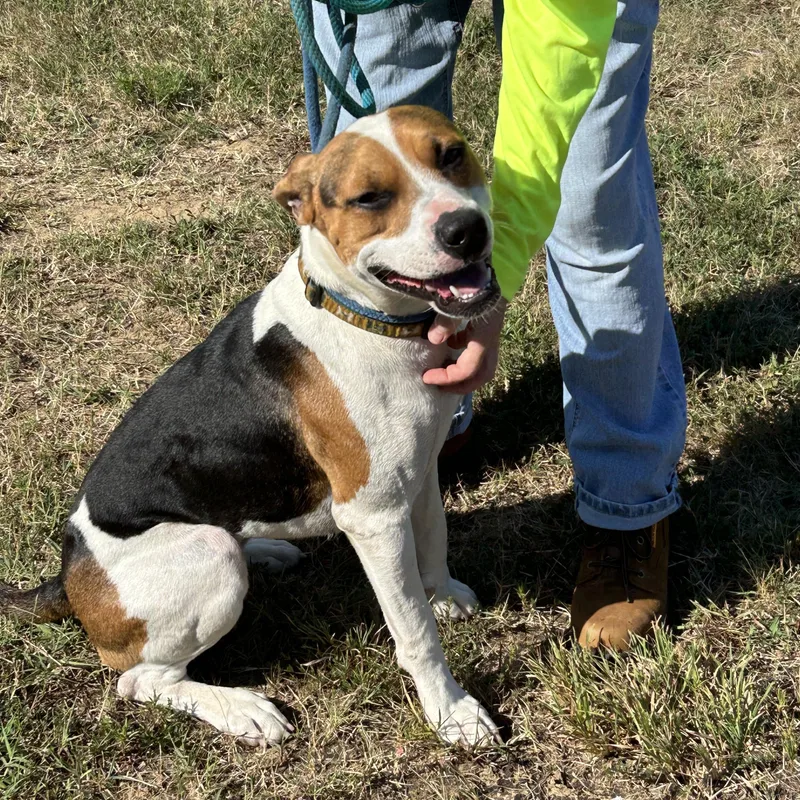 S’ Mores thumbnail 4