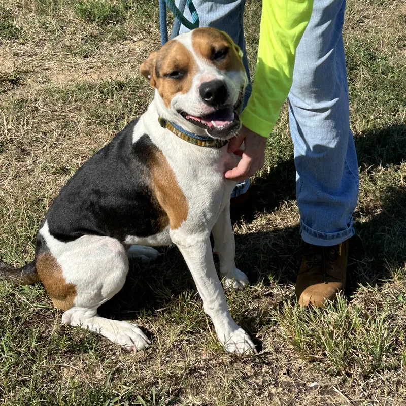 S’ Mores thumbnail 5