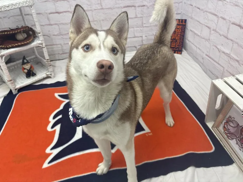 Bread Alone thumbnail 2