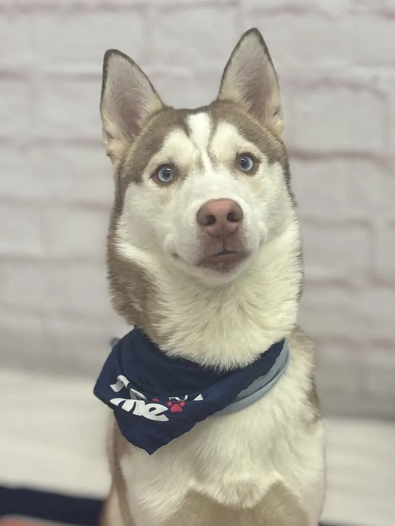 Bread Alone thumbnail 3