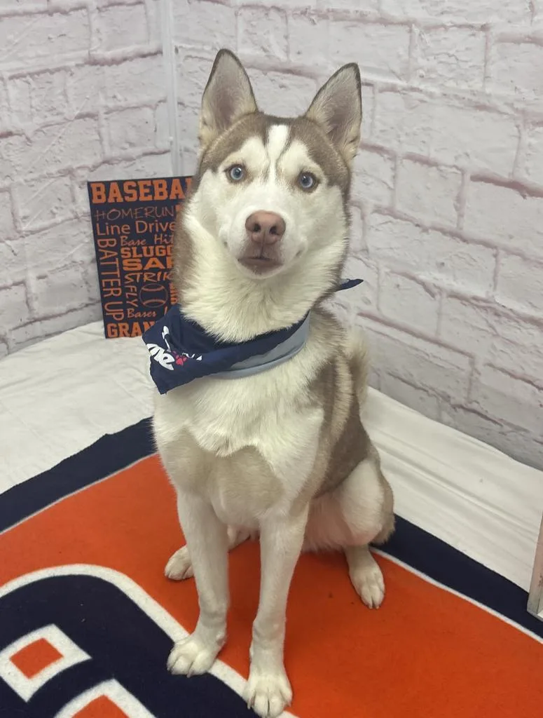 Bread Alone thumbnail 4