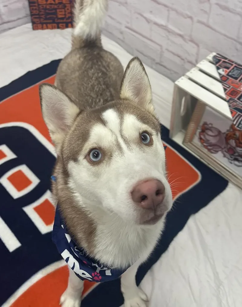 Bread Alone thumbnail 5