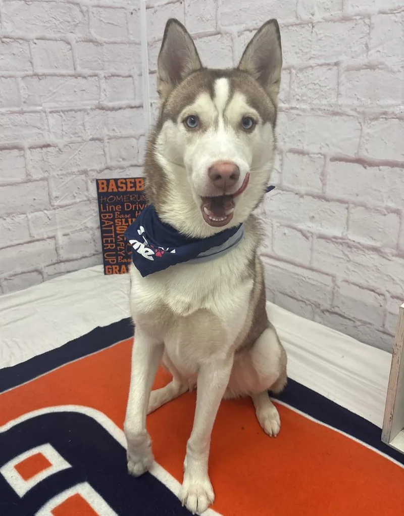 Bread Alone thumbnail 6