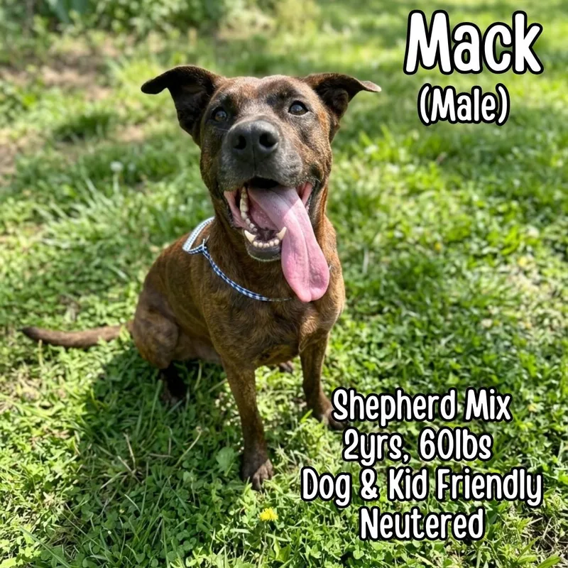 Mack thumbnail 2