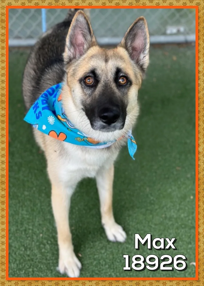 Max thumbnail 2