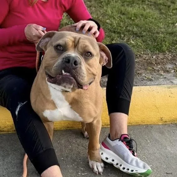 Tofu Coming Soon thumbnail 2