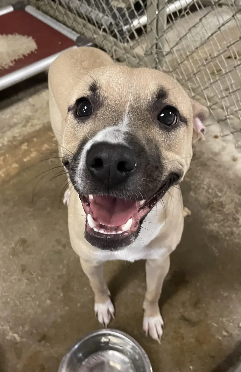 Chase Hold thumbnail 2