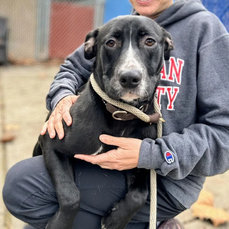 Montclair thumbnail 2