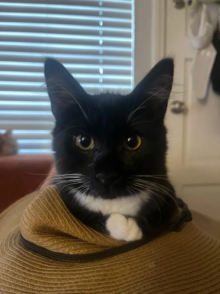 Onyx Sky
