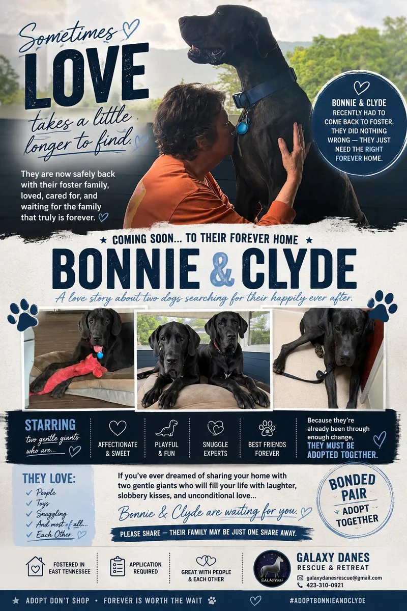 Bonnie & Clyde
