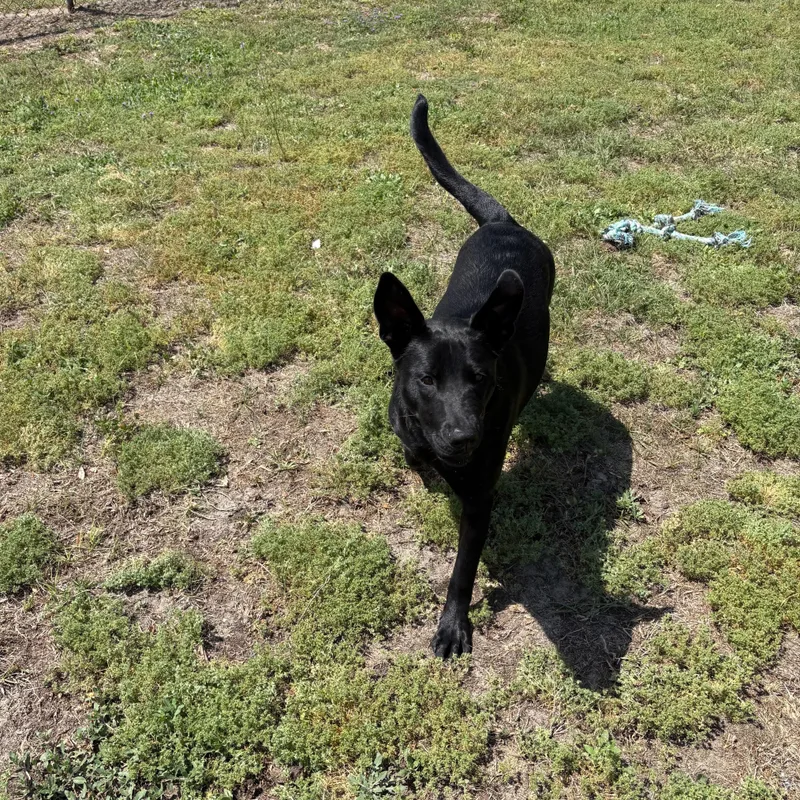 Hermione thumbnail 2