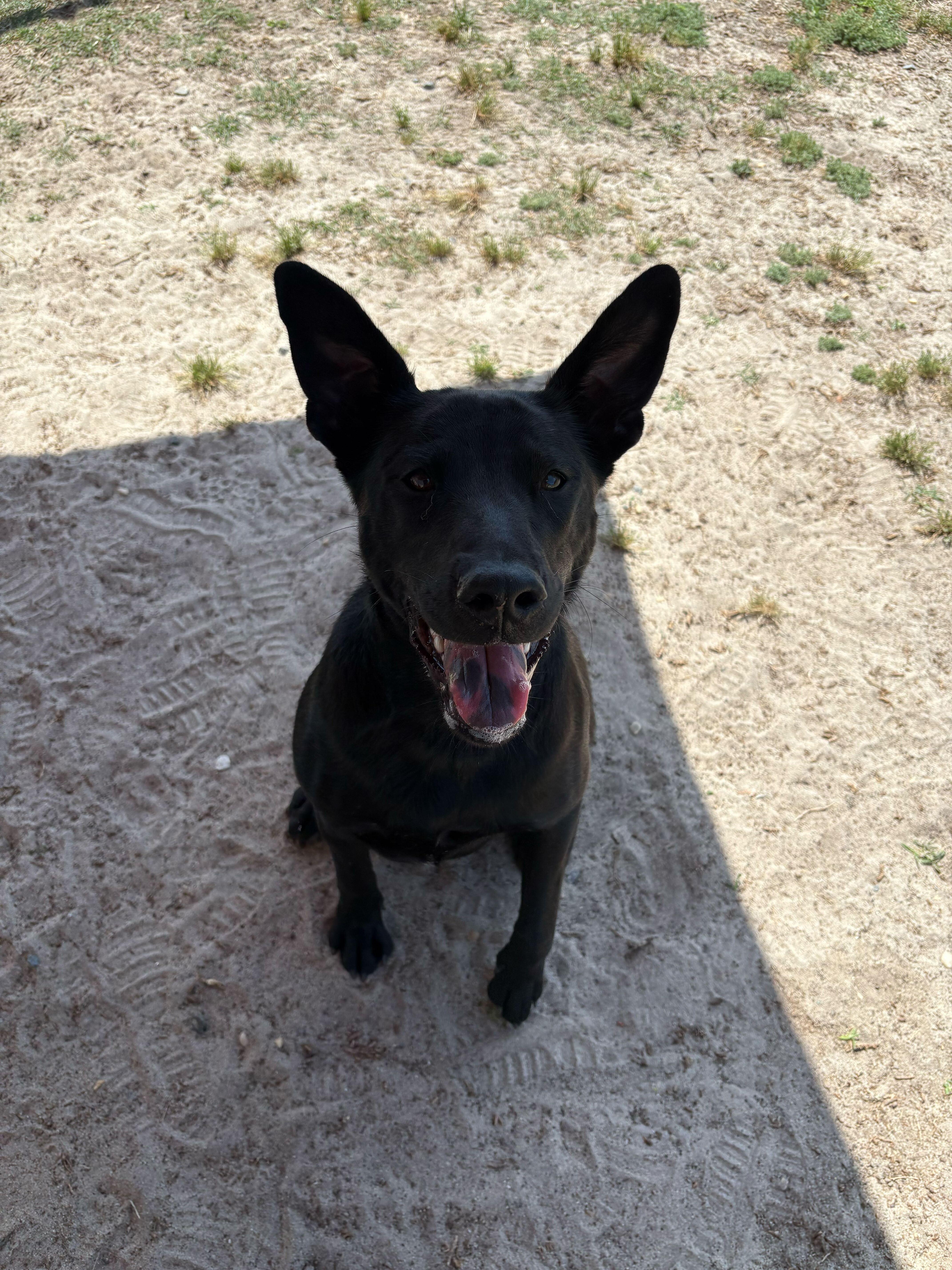 Hermione thumbnail 3