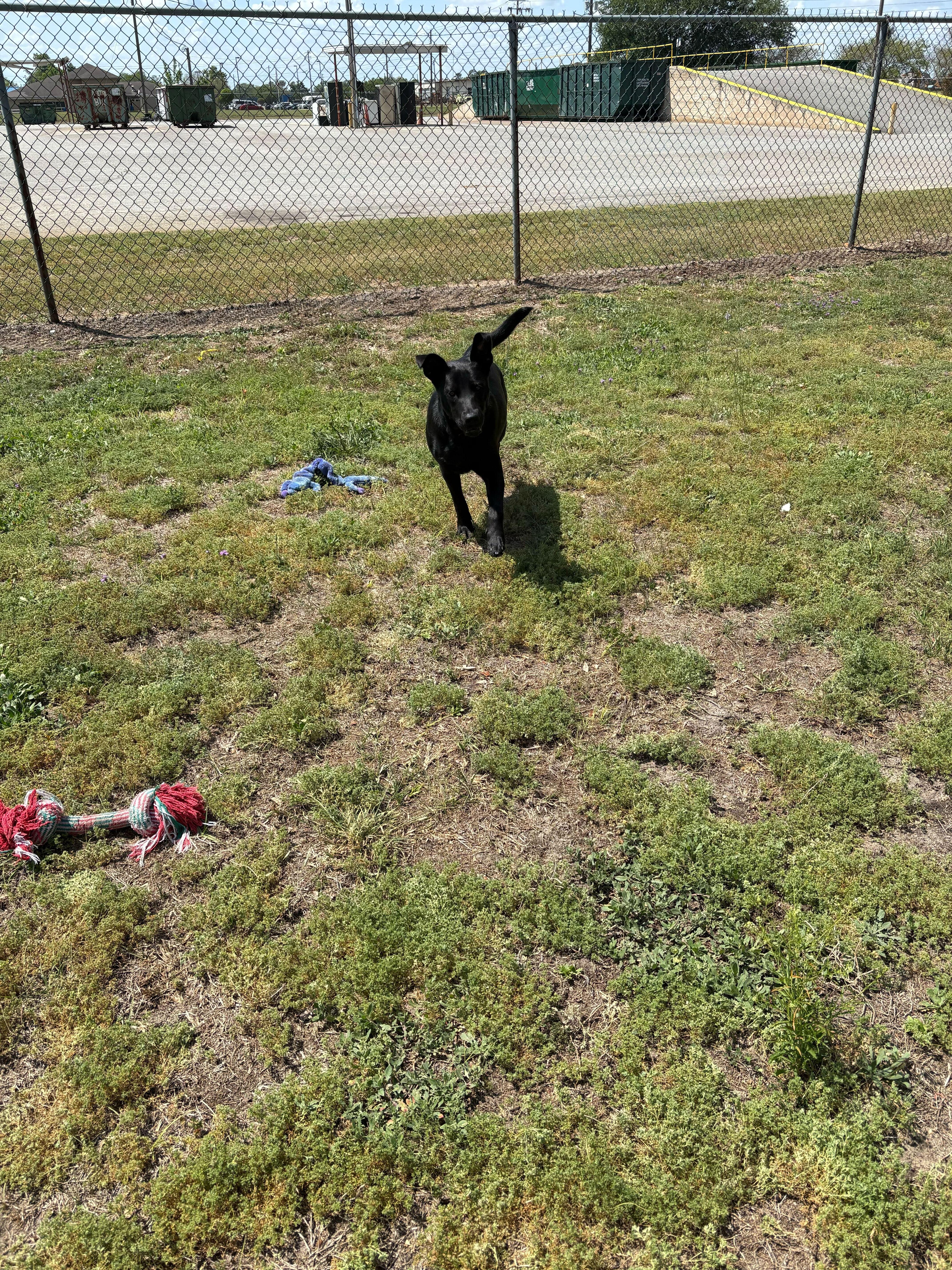 Hermione thumbnail 4