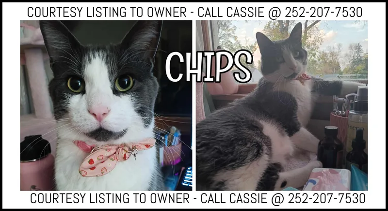 Chips COURTESY LISTING