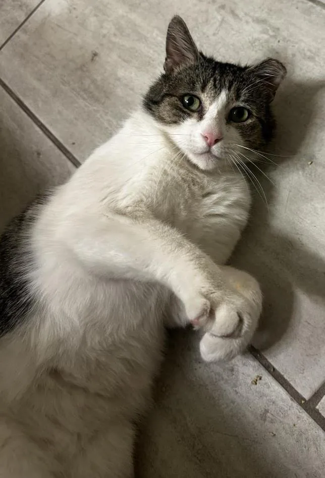 Cowboy Lovesalot thumbnail 2