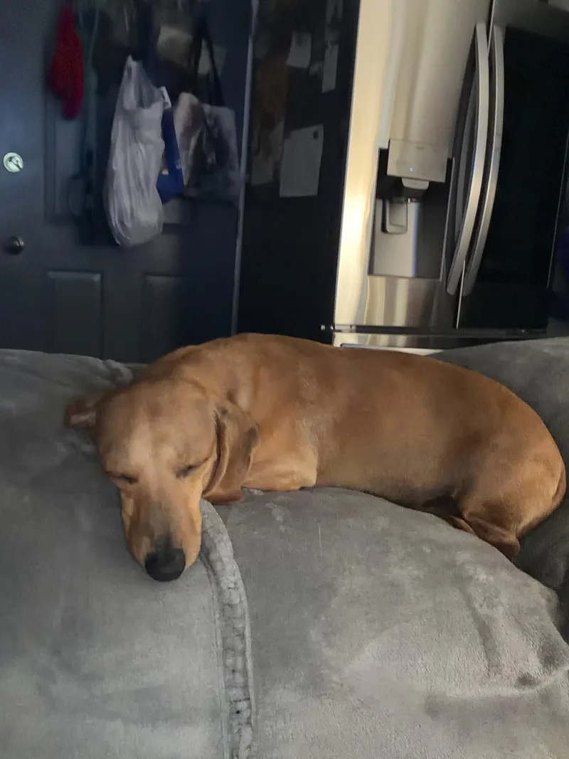 Zoe