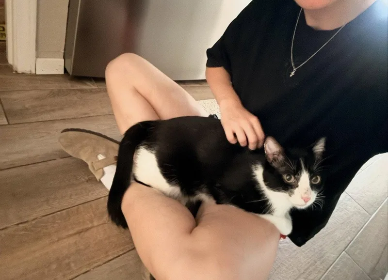 Pepper thumbnail 2