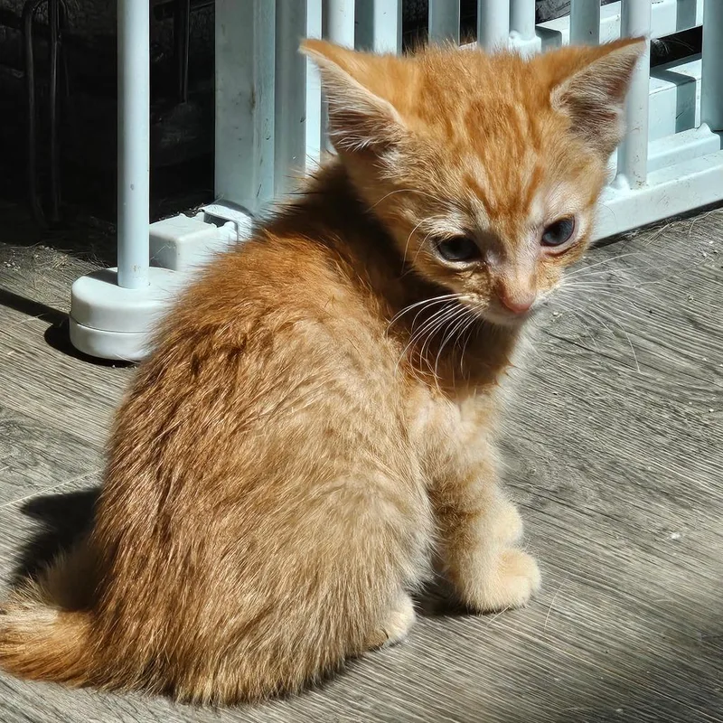 Dale Gray thumbnail 2