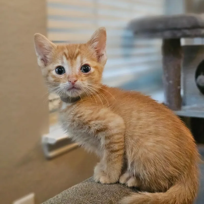 Dale Gray thumbnail 3