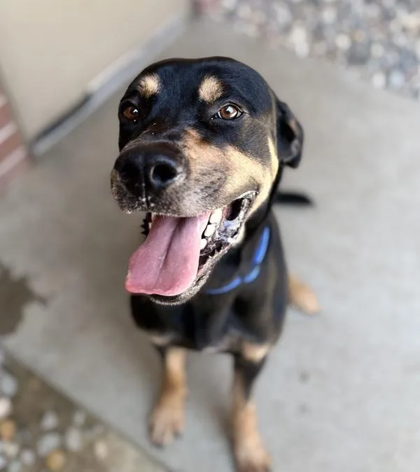 Max