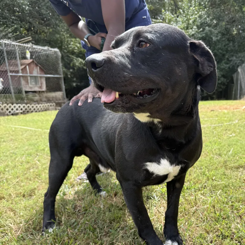 Bobby Joe thumbnail 5