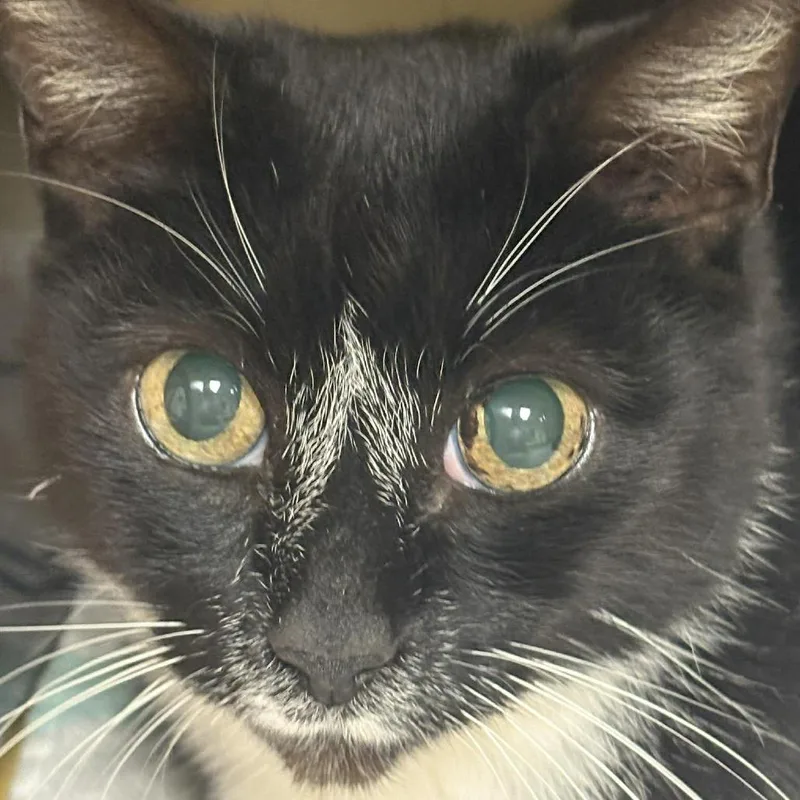 Carly Houston thumbnail 2