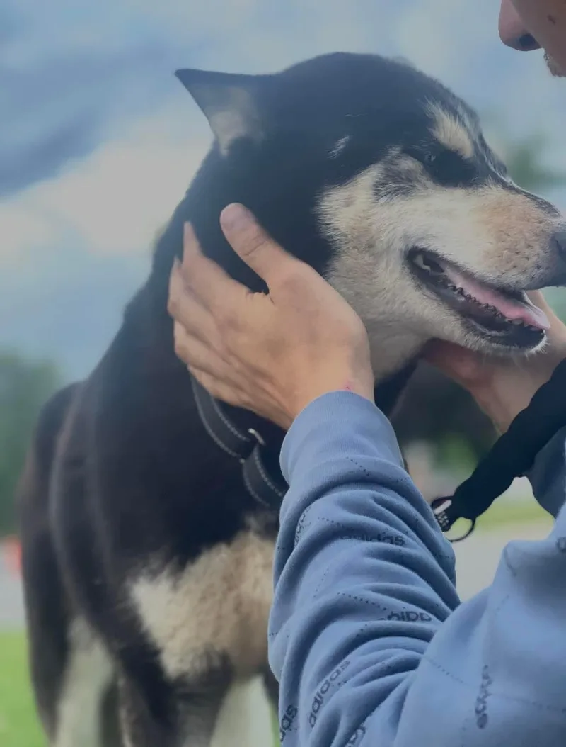 Alaska