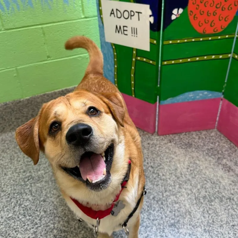 Butterball Aka Bo thumbnail 2