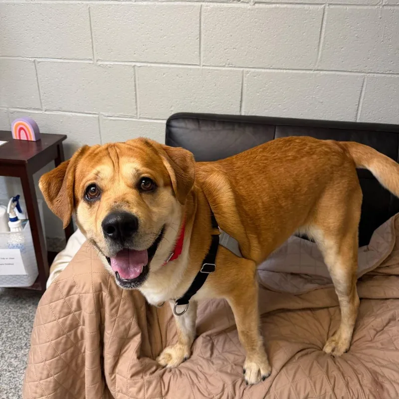 Butterball Aka Bo thumbnail 3