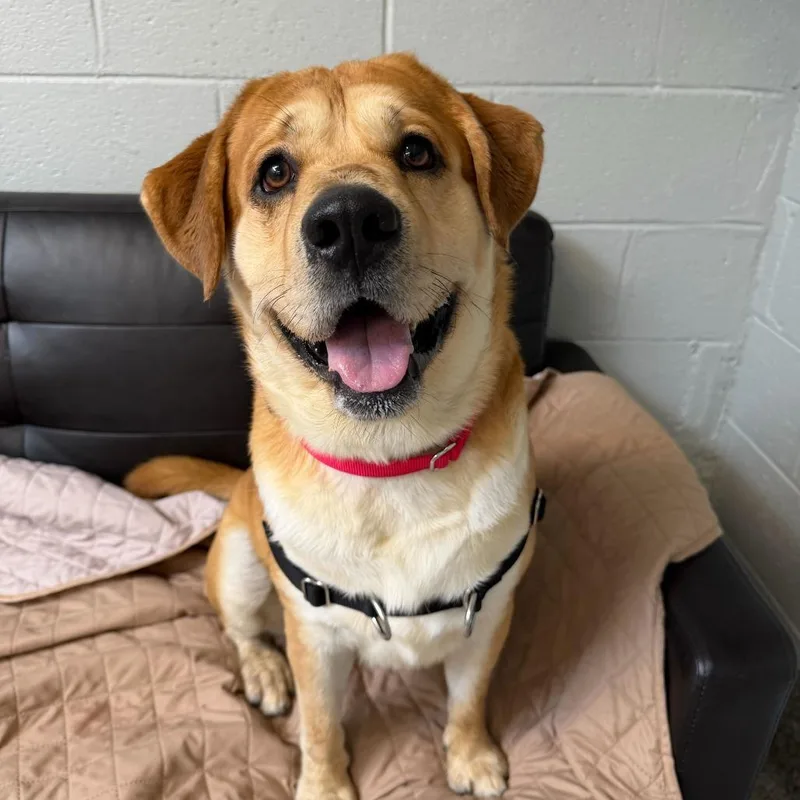 Butterball Aka Bo thumbnail 4