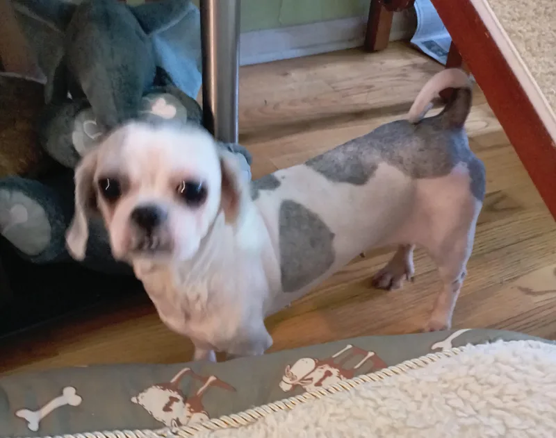 Minnie thumbnail 2