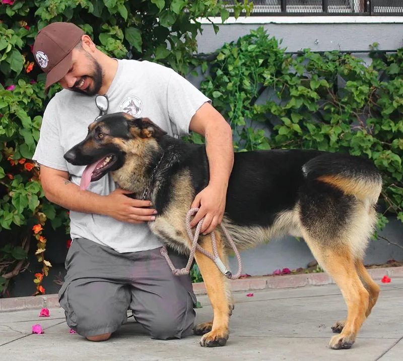 Ruger Von Ranger thumbnail 3