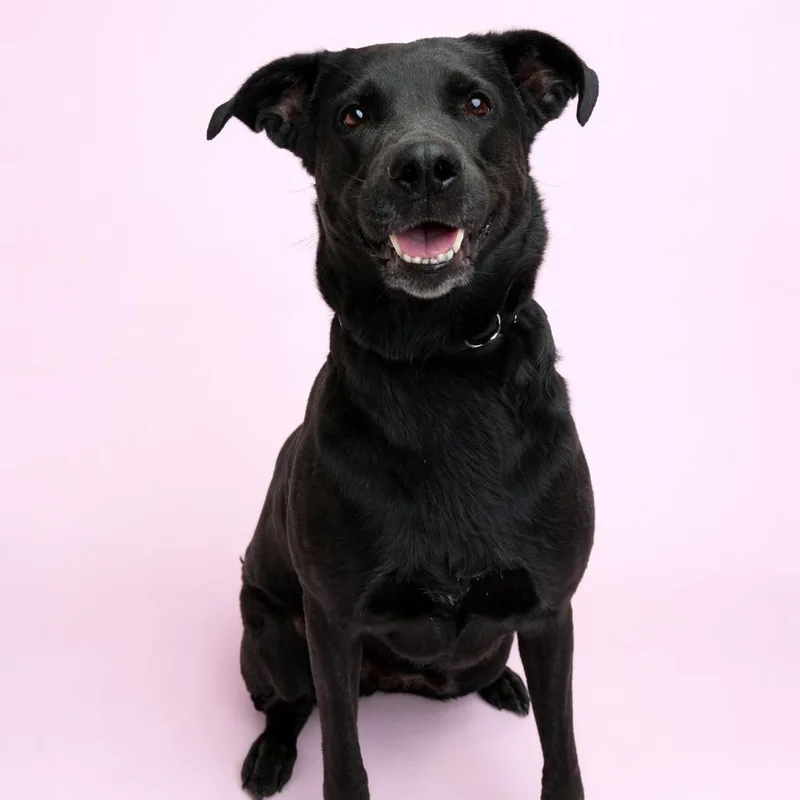 Margaret thumbnail 2