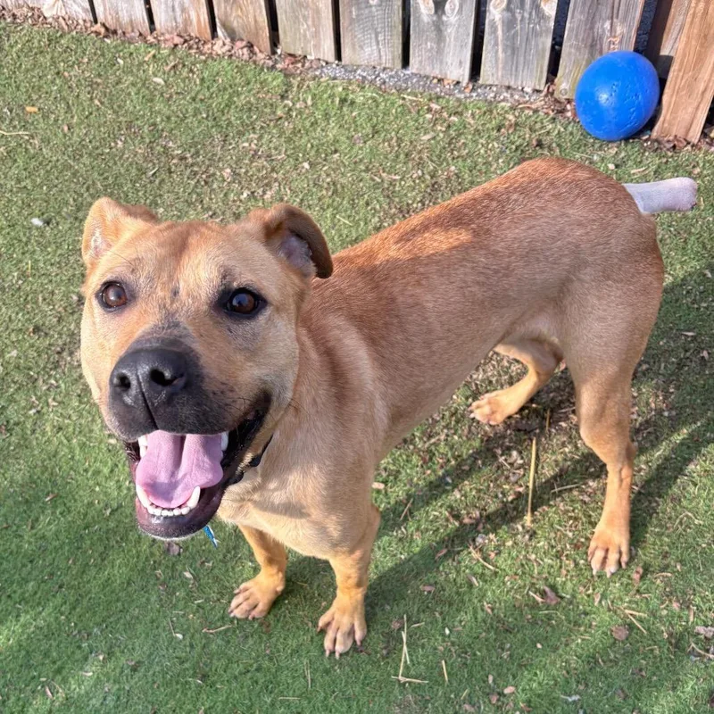 Molecule thumbnail 2