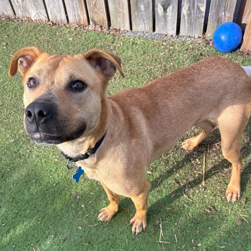 Molecule thumbnail 3