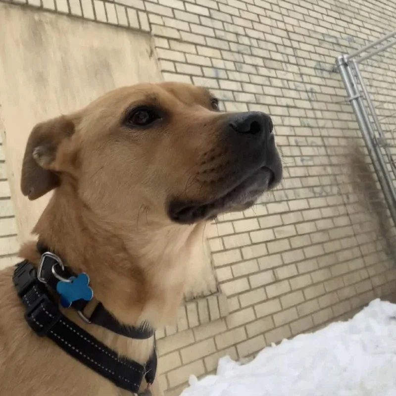 Molecule thumbnail 4