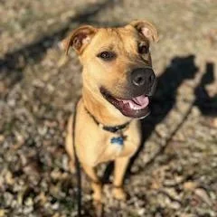 Molecule thumbnail 5