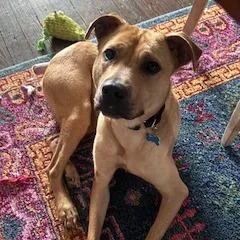 Molecule thumbnail 6