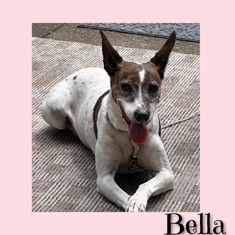 Bella thumbnail 2